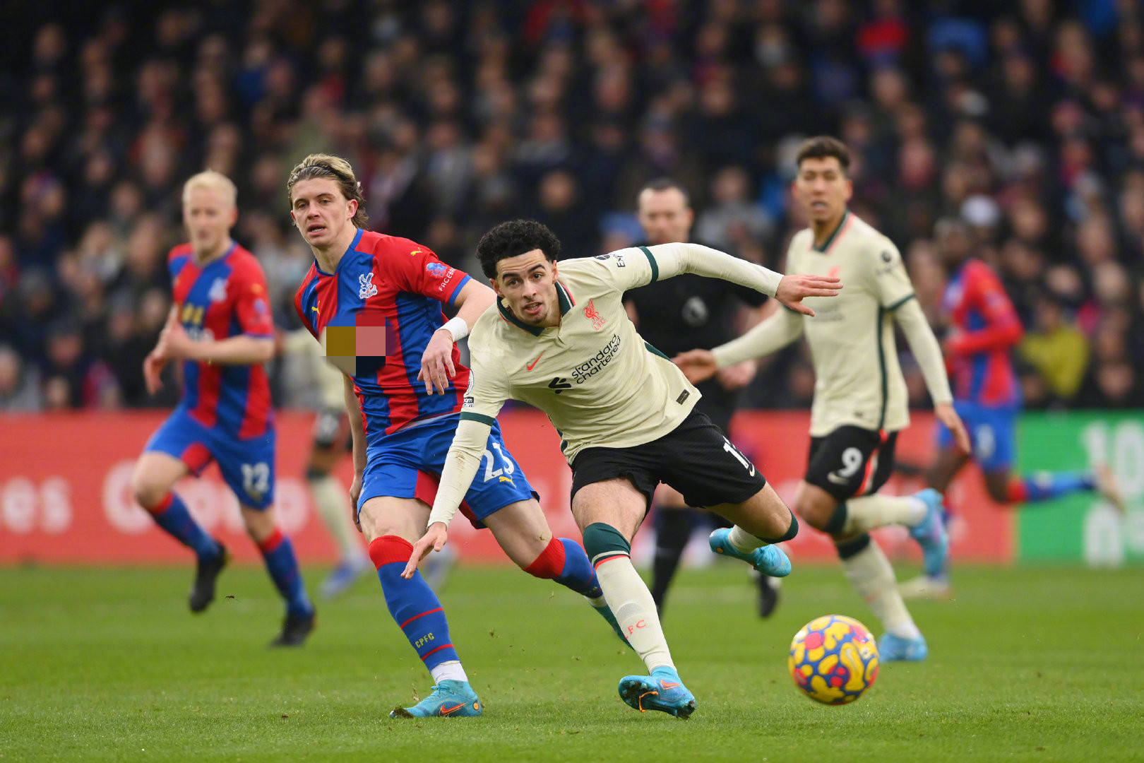 芬奇的回应 芬奇的回应